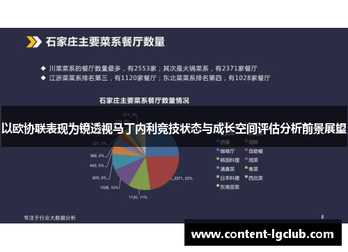 以欧协联表现为镜透视马丁内利竞技状态与成长空间评估分析前景展望